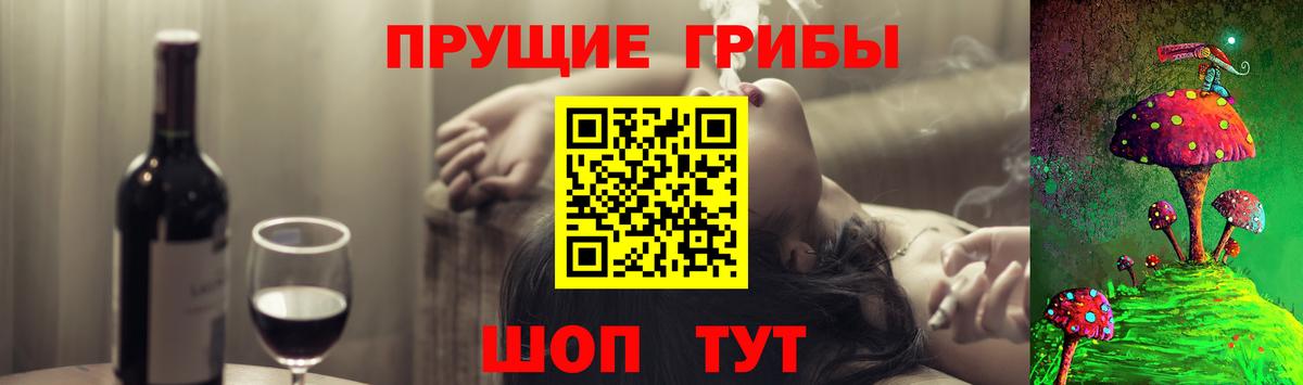 Галлюциногенные грибы Psilocybe  Вход с VPN  Псилоцибиновые грибы MAGIC MUSHROOMS  Кингисепп 